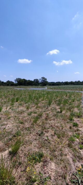  Terrain � vendre 467 m�