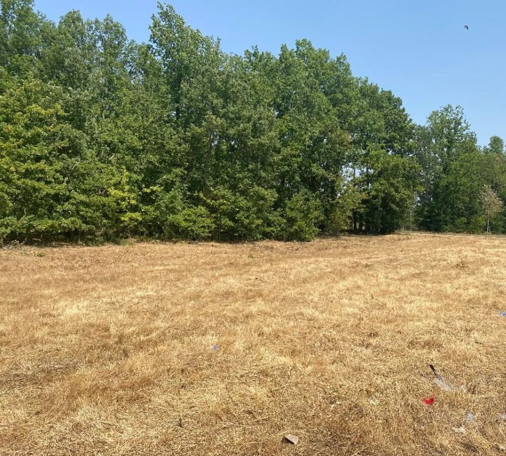 vente Maison - 4 pièce(s) - 120 m² Montbeton (82290)