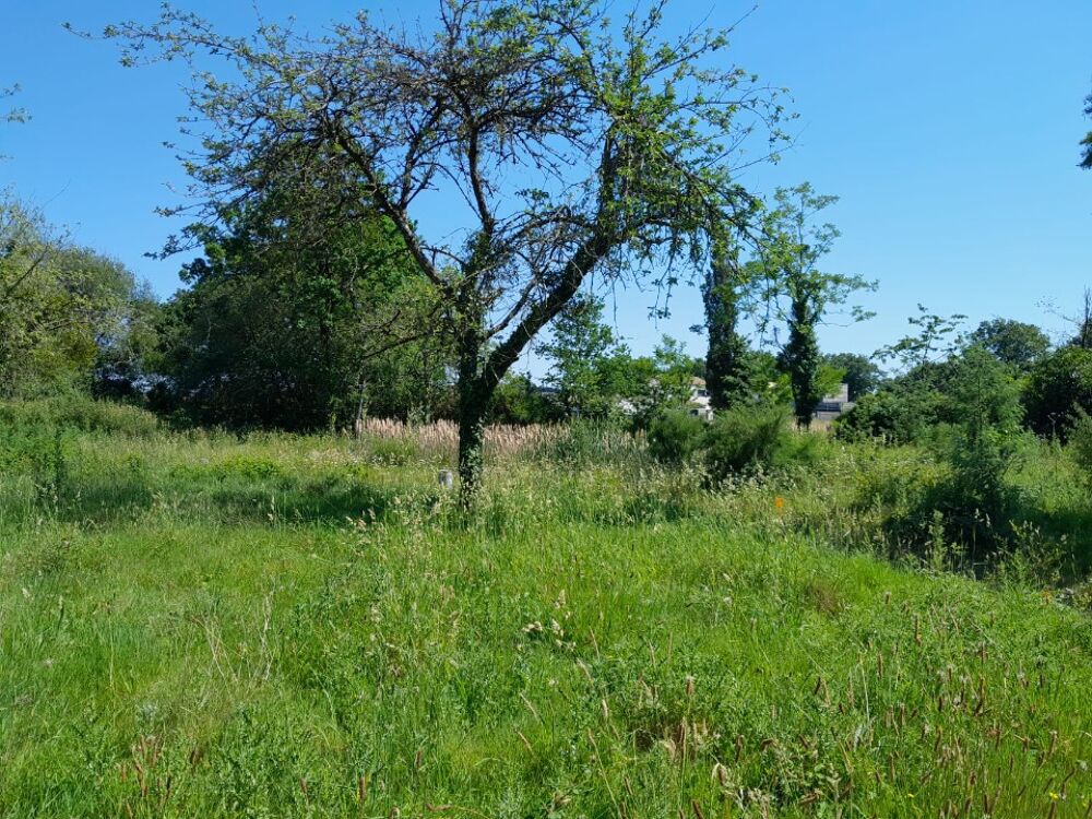 vente Maison - 4 pièce(s) - 80 m² Saint-Mars-de-Coutais (44680)