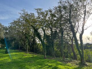  Terrain � vendre 256 m�