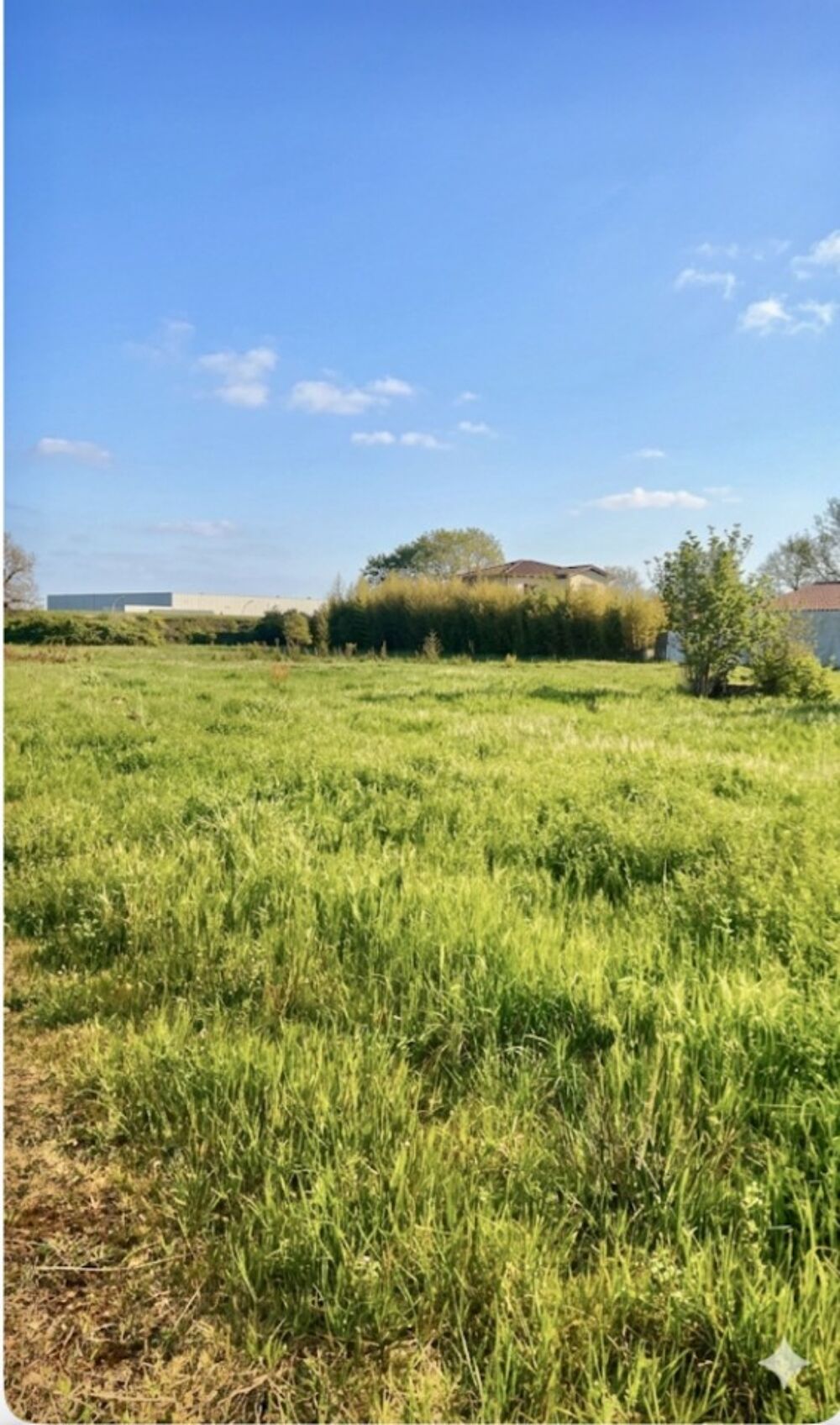 vente Terrain - 553 m² Plaisance-du-Touch (31830)