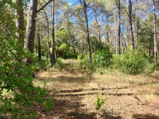  Maison 4 pi�ces 77 m� Bagnols-en-for�t