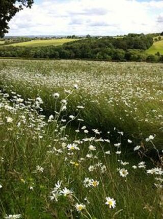  Terrain � vendre 852 m�