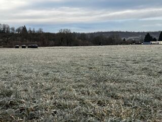  Terrain 575 m� Jussac