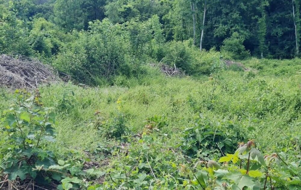 vente Terrain - 969 m² Perthes (77930)