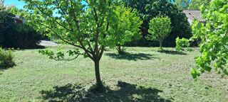  Terrain � vendre 378 m�