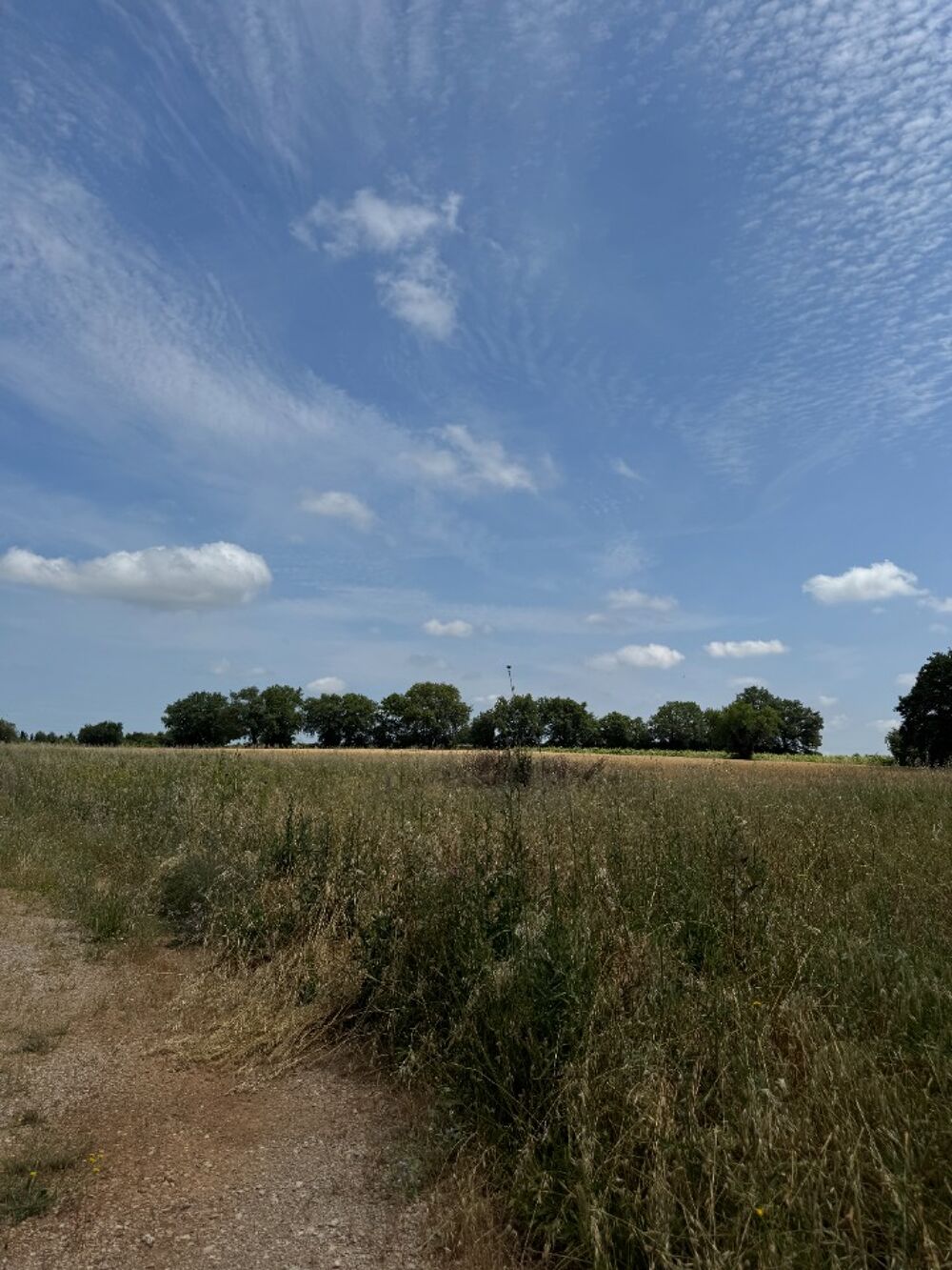 vente Terrain - 402 m² Vérargues (34400)
