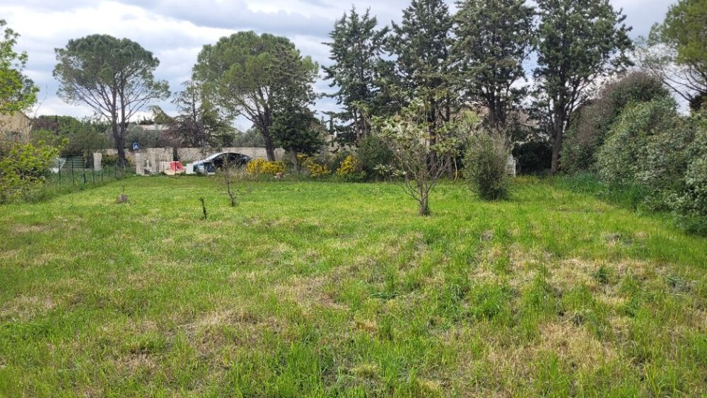 vente Terrain - 856 m² Sainte-Cécile-les-Vignes (84290)
