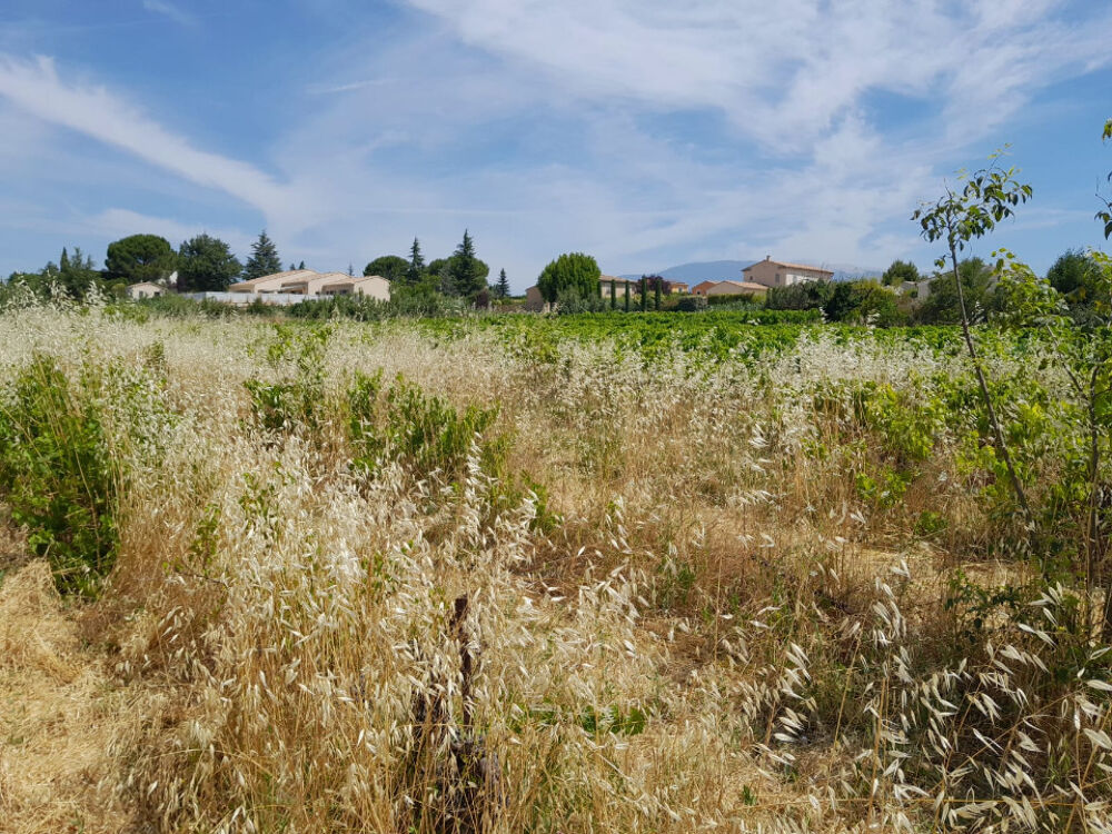 vente Maison - 3 pièce(s) - 103 m² Orange (84100)