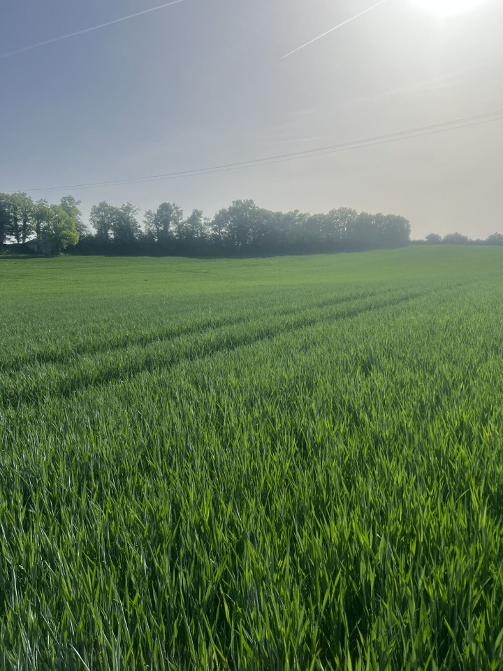 vente Terrain - 2140 m² Castelnau-Montratier (46170)