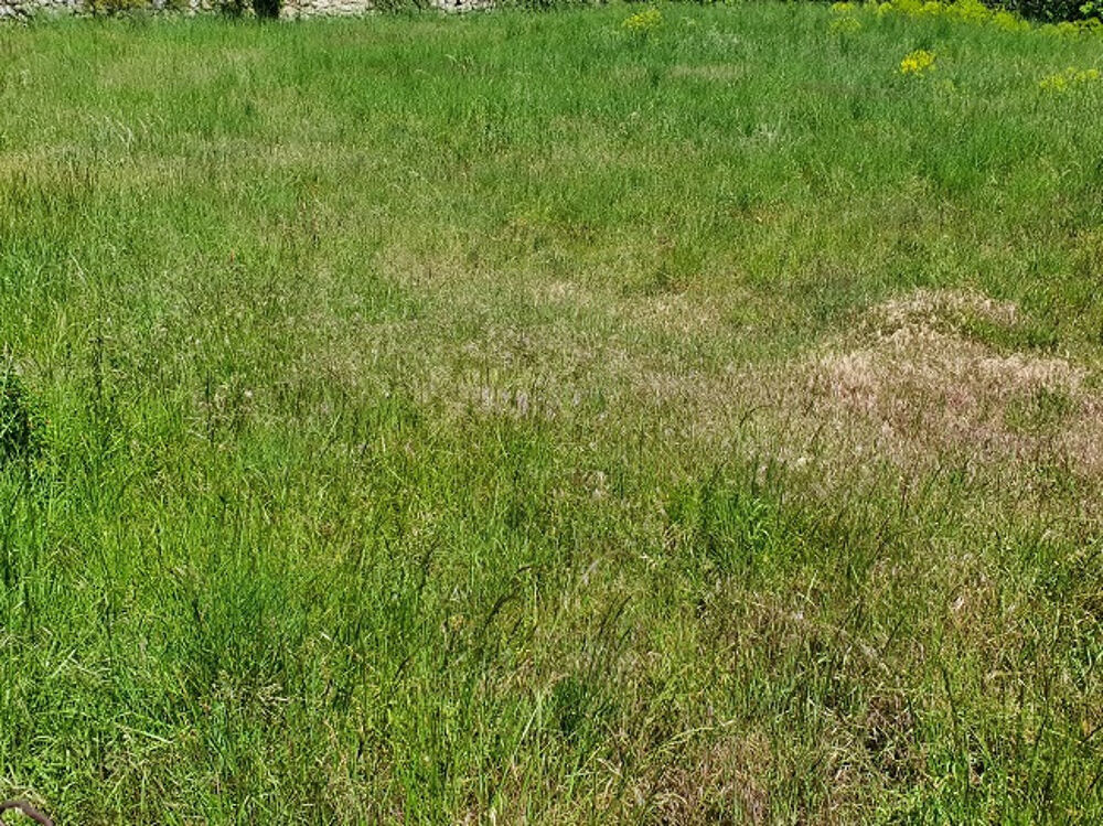 vente Terrain - 200 m² Corbère-les-Cabanes (66130)