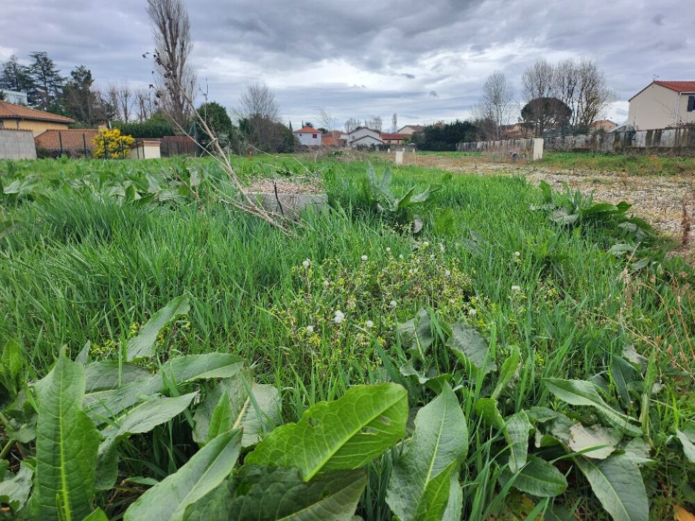 vente Terrain - 190 m² Feyzin (69320)