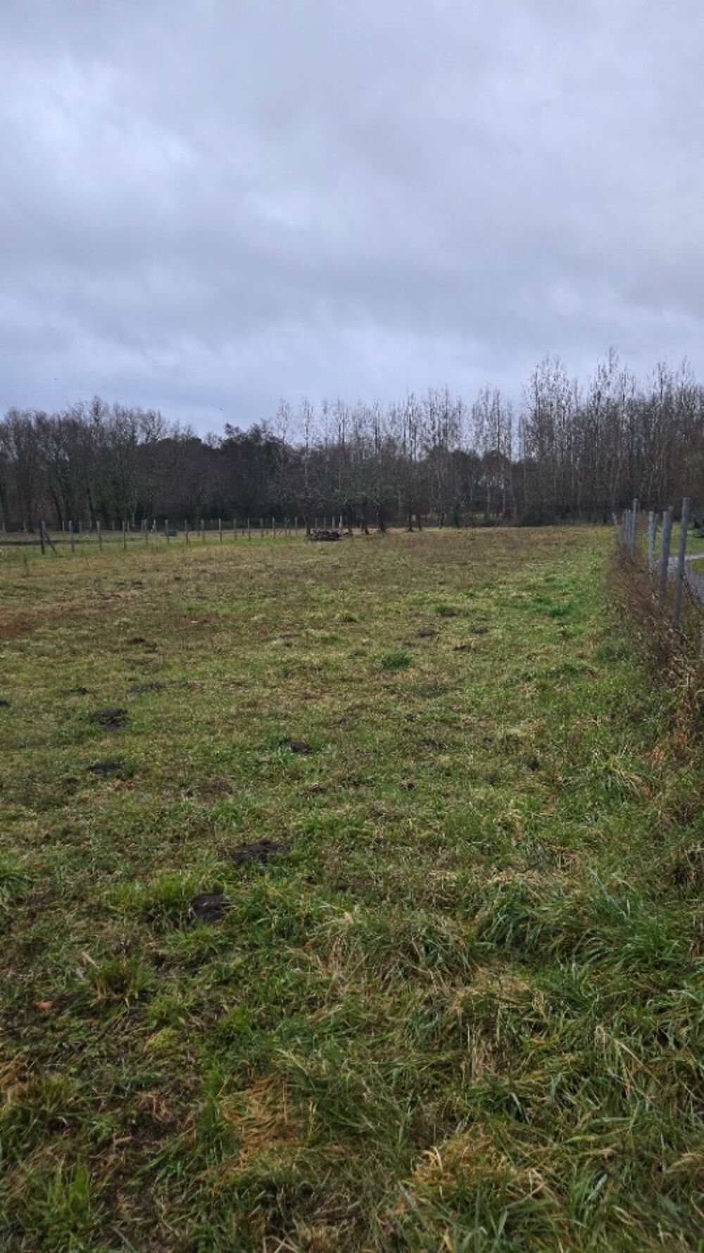 vente Terrain - 990 m² Gauriaguet (33240)