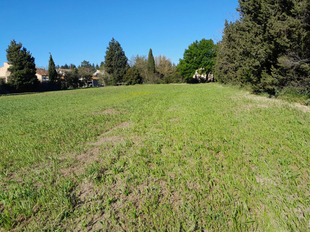 vente Maison - 5 pièce(s) - 90 m² Velleron (84740)