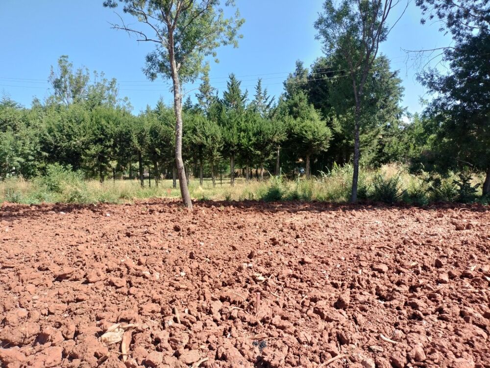 vente Terrain - 300 m² Le Luc (83340)