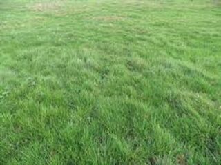  Maison � vendre 5 pi�ces 80 m�