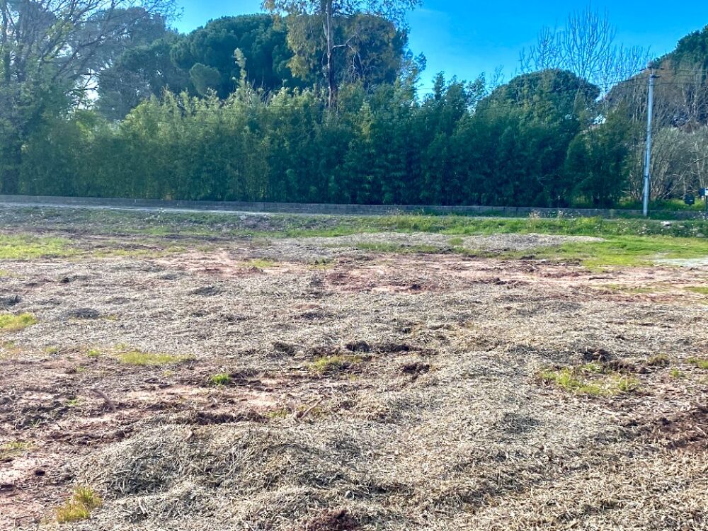 vente Terrain - 691 m² Puget-sur-Argens (83480)