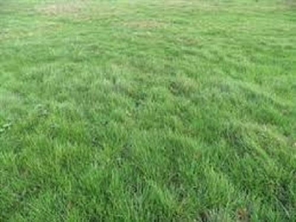 vente Terrain - 468 m� Courances (91490)