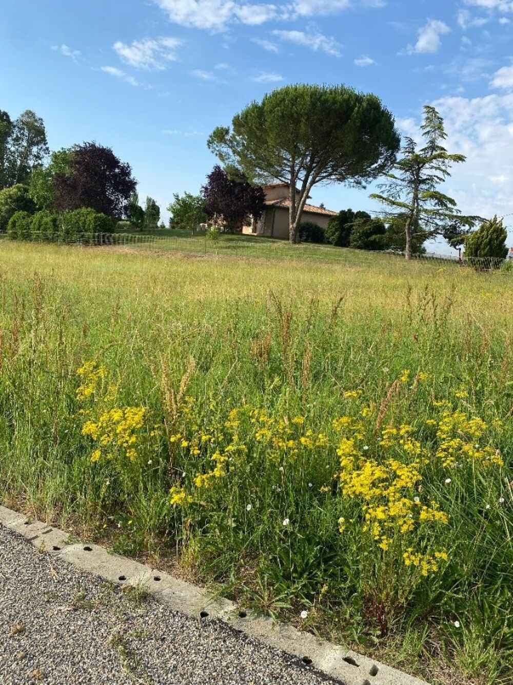 vente Terrain - 1857 m² Montauban (82000)