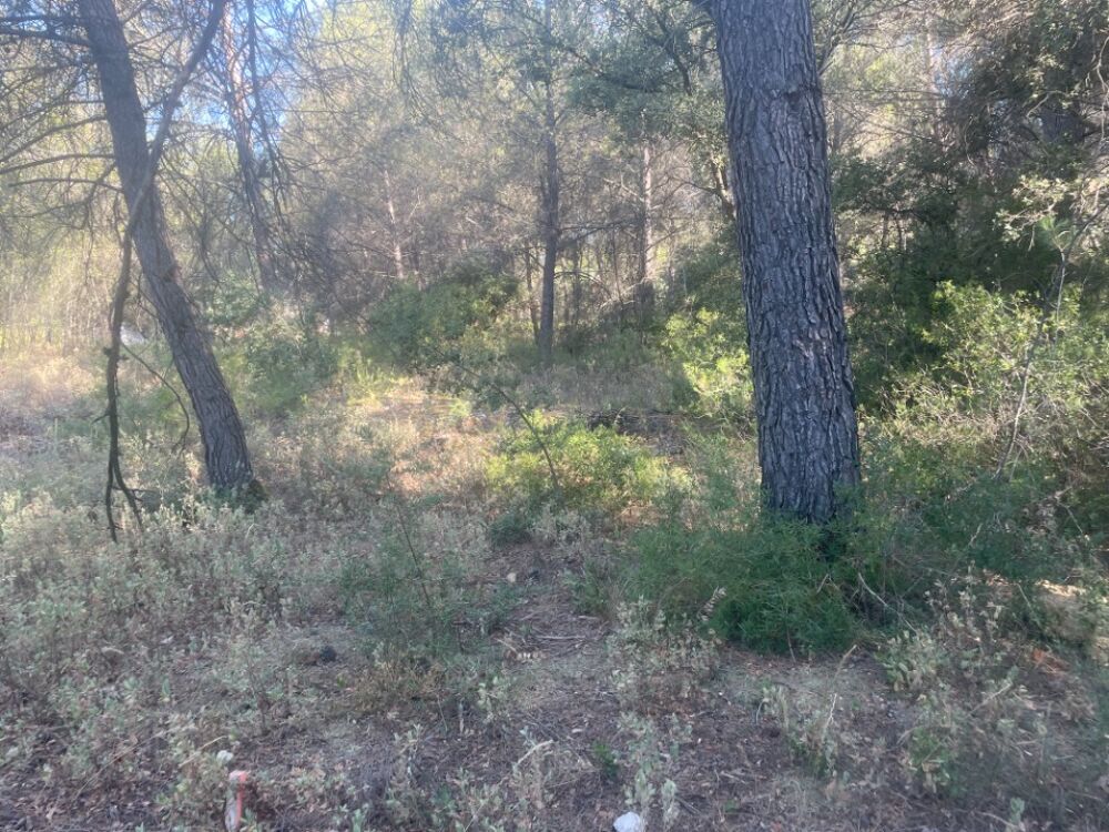 vente Terrain - 510 m² Lambesc (13410)