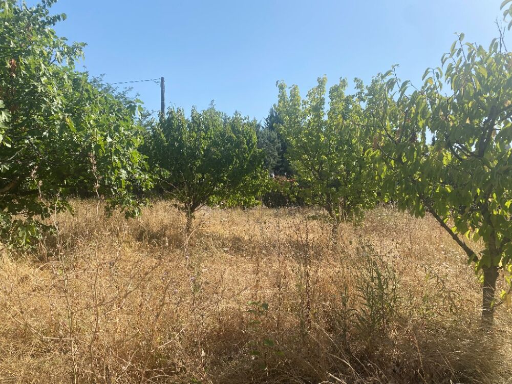 vente Maison - 1 pièce(s) - 98 m² La Crau (83260)