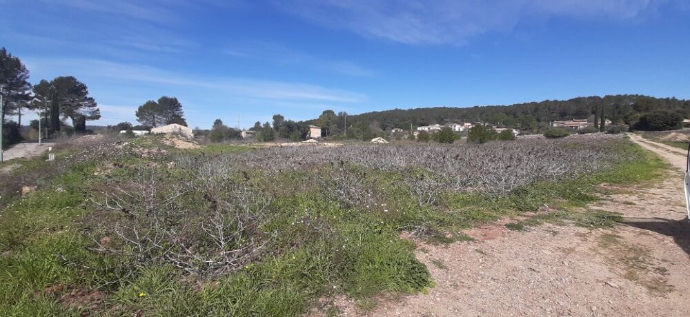 vente Terrain - 1103 m² Carcès (83570)