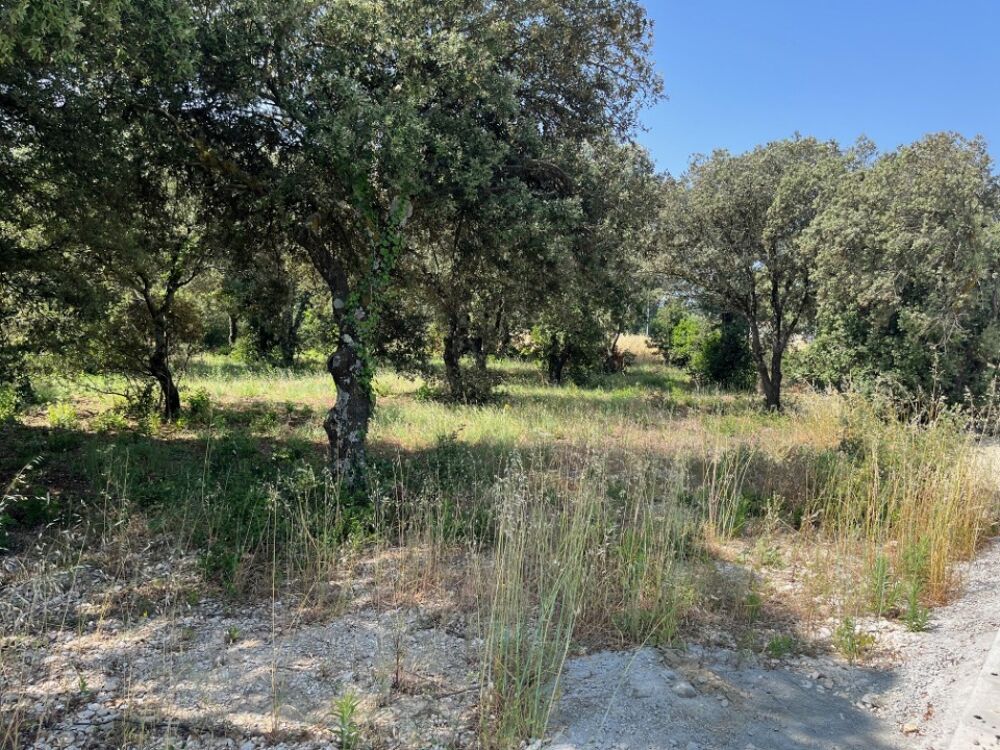 vente Terrain - 1700 m² La Baume-de-Transit (26790)