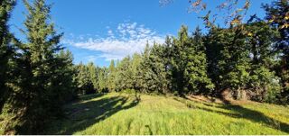  Terrain � vendre 299 m�