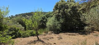  Terrain à vendre 880 m²