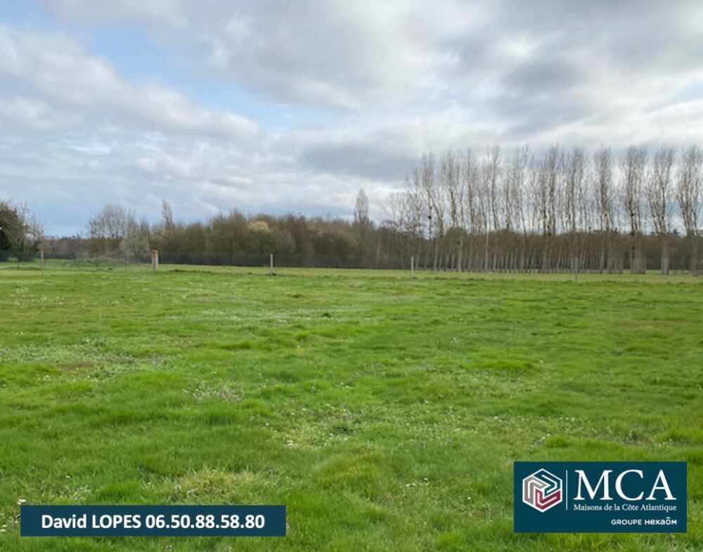 vente Terrain - 2774 m² Montcaret (24230)