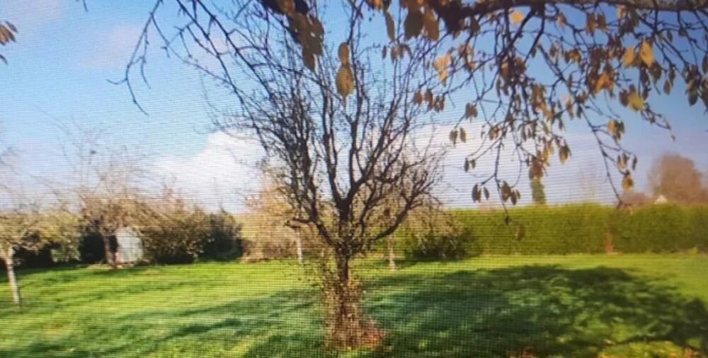 vente Terrain - 1077 m² Émalleville (27930)