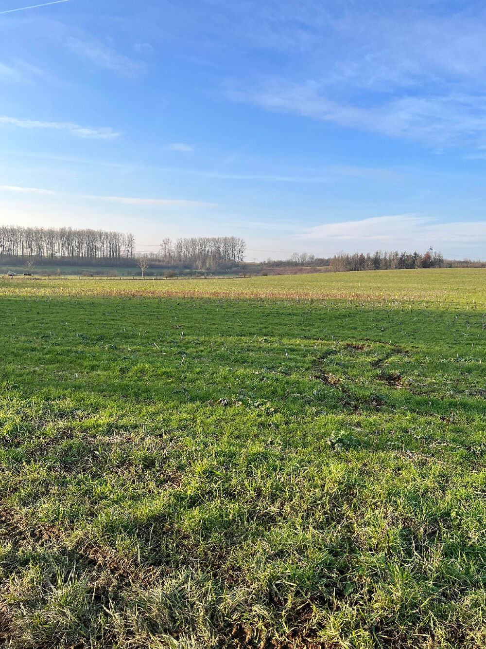 vente Maison - 4 pièce(s) - 90 m² Mont-Bonvillers (54111)