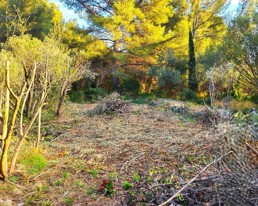vente Terrain - 442 m² Toulon (83200)