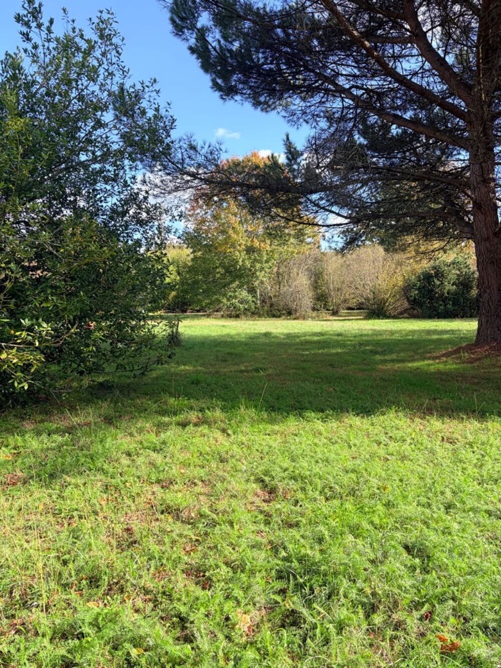vente Terrain - 550 m² Le Taillan-Médoc (33320)