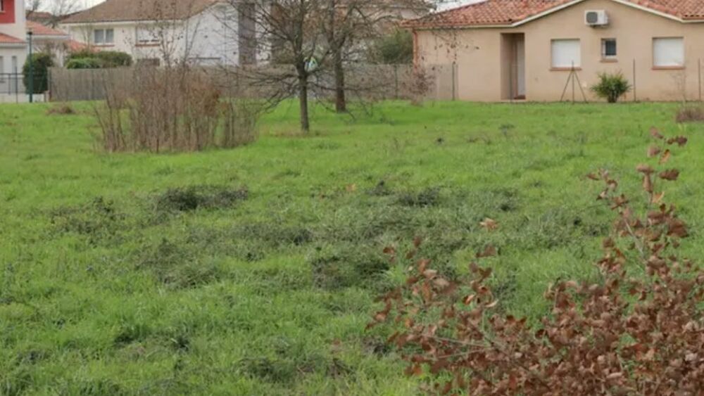 vente Maison - 5 pi�ce(s) - 120 m� Cugnaux (31270)