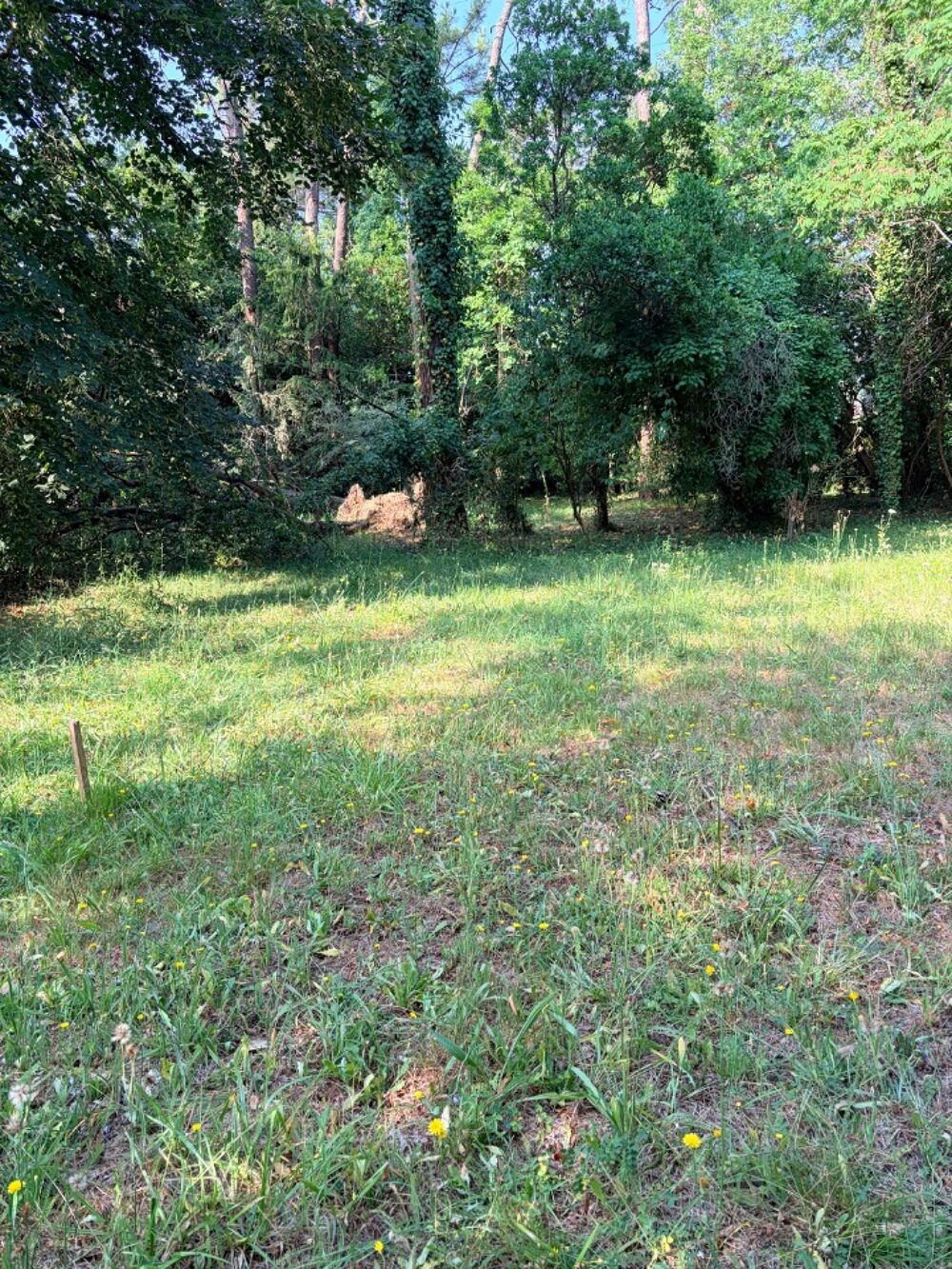 vente Terrain - 1000 m² Le Taillan-Médoc (33320)