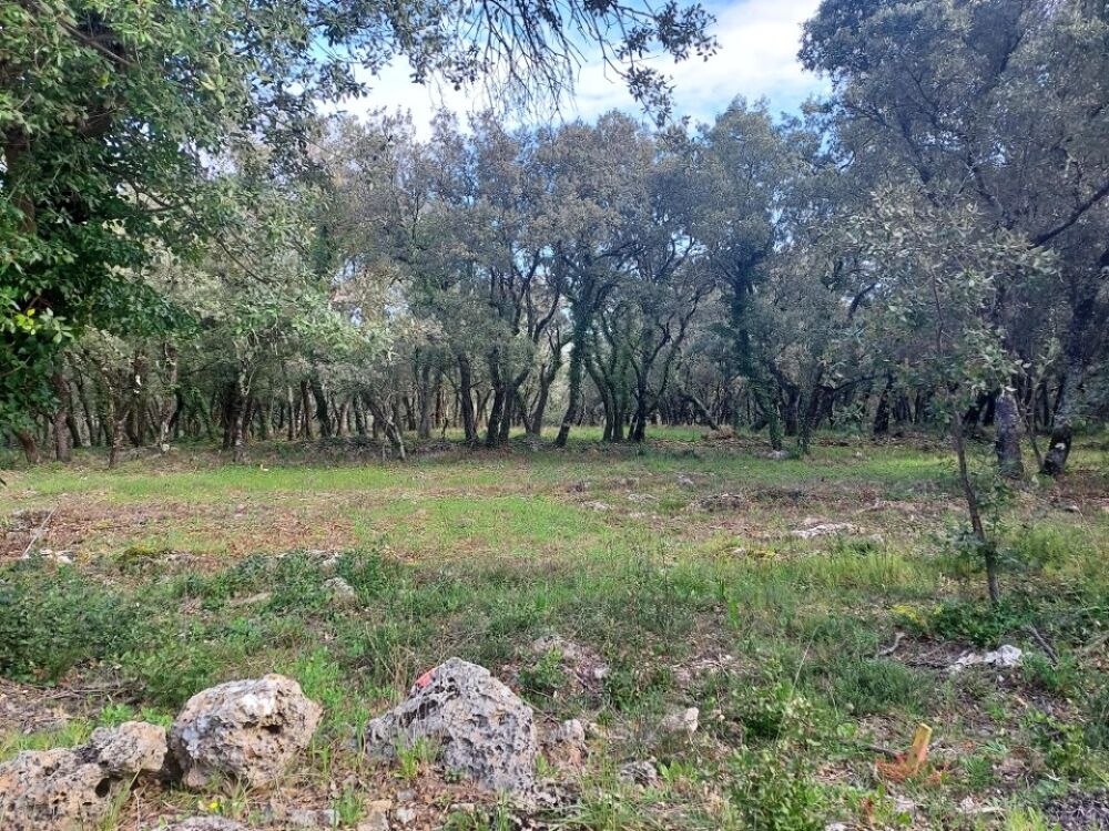 vente Terrain - 1900 m² Sainte-Anastasie-sur-Issole (83136)