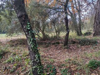  Terrain 1882 m� Lorgues