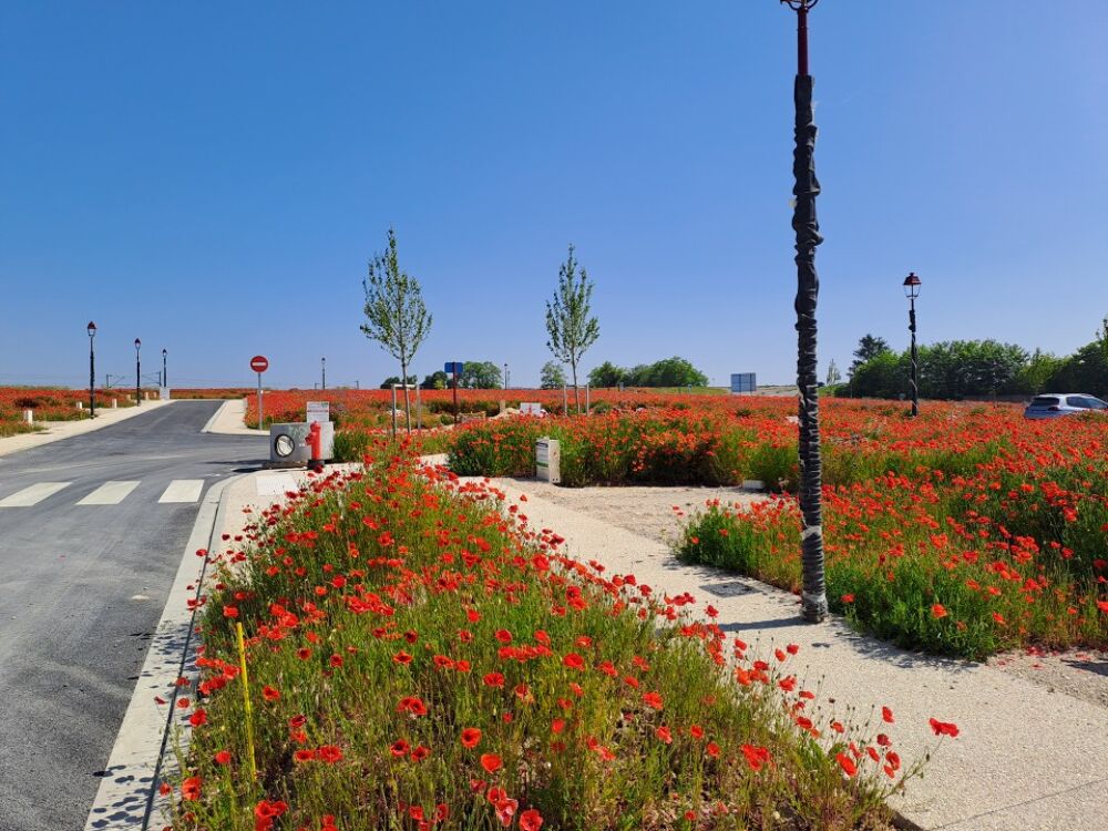 L'agence Maisons France Confort de Coignières propose ce....