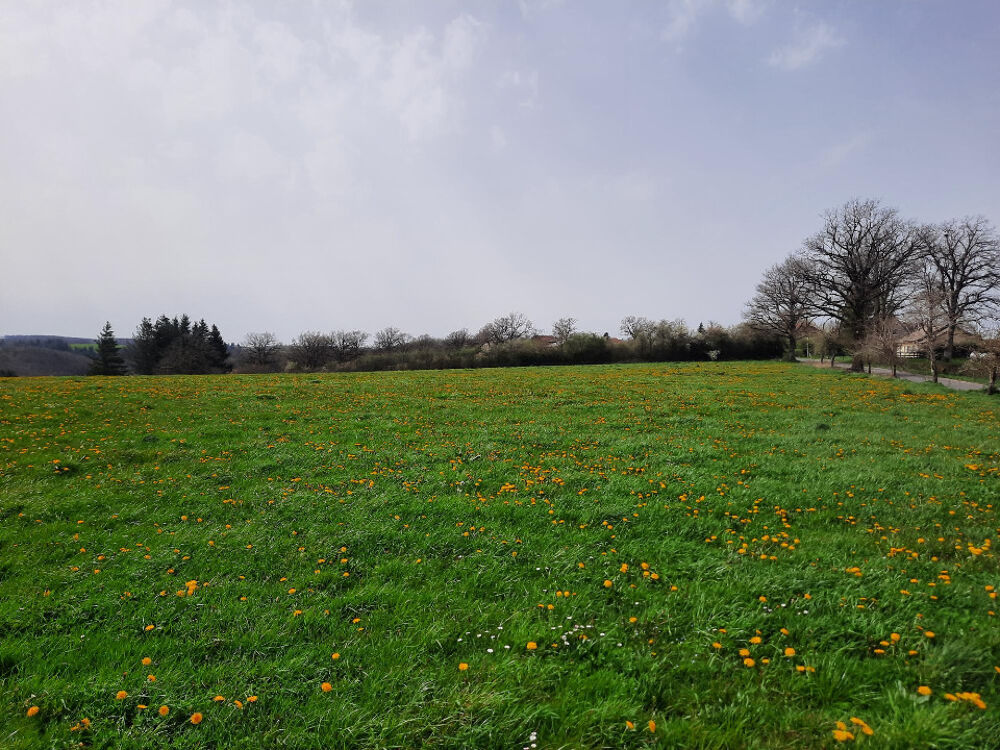 vente Terrain - 1500 m² Roannes-Saint-Mary (15220)