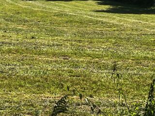  Terrain  vendre 750 m