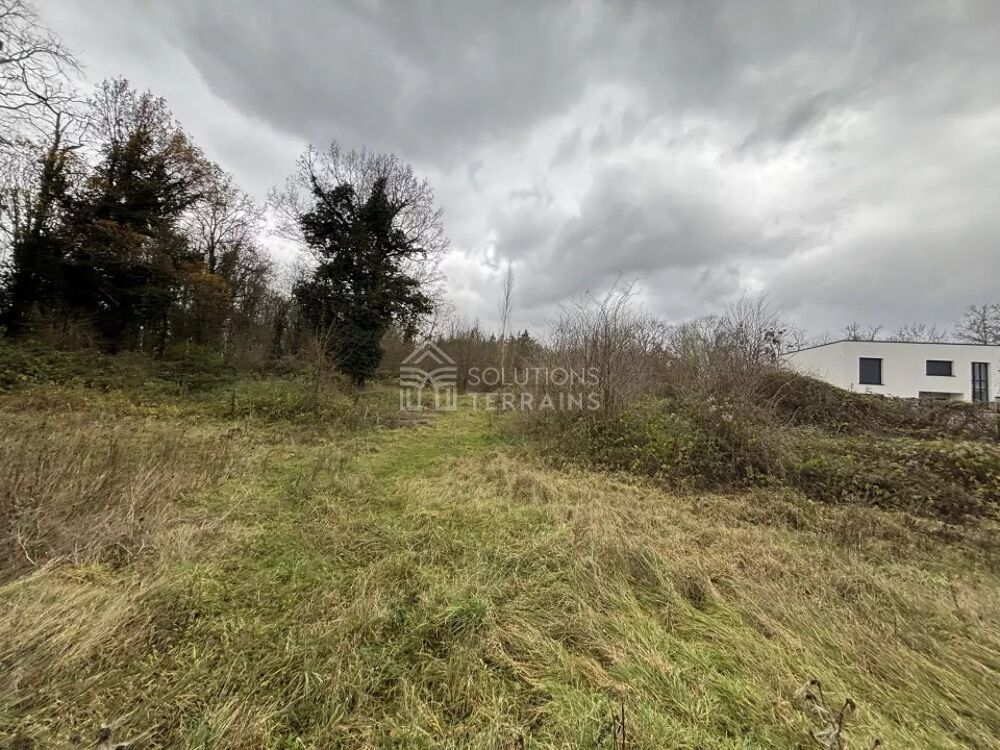 vente Maison - 7 pièce(s) - 120 m² Vulaines-sur-Seine (77870)