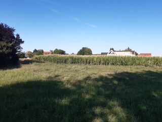  Maison 5 pièces 139 m² Eschau