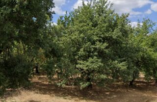  Maison 3 pi�ces 70 m� Romans-sur-is�re