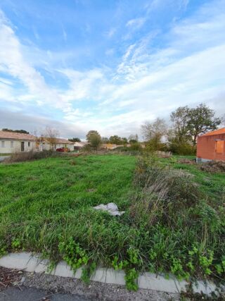 vente Terrain - 664 m² Moulis-en-Médoc (33480)