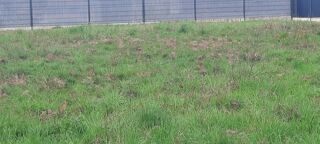  Terrain 944 m� M�rignac