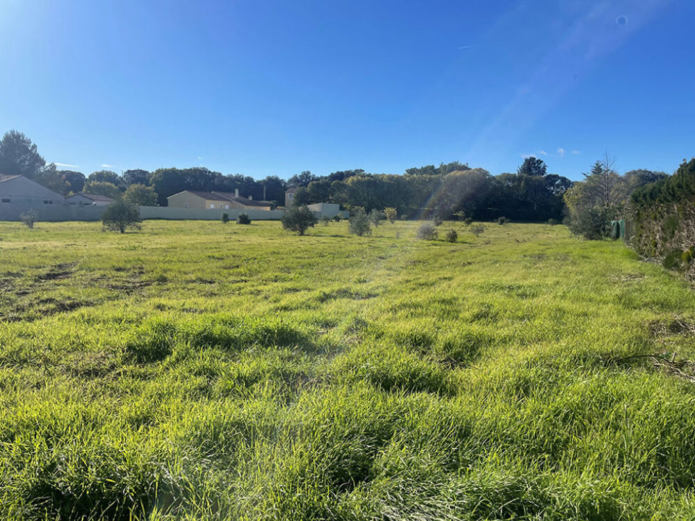 vente Terrain - 500 m² Canet (34800)