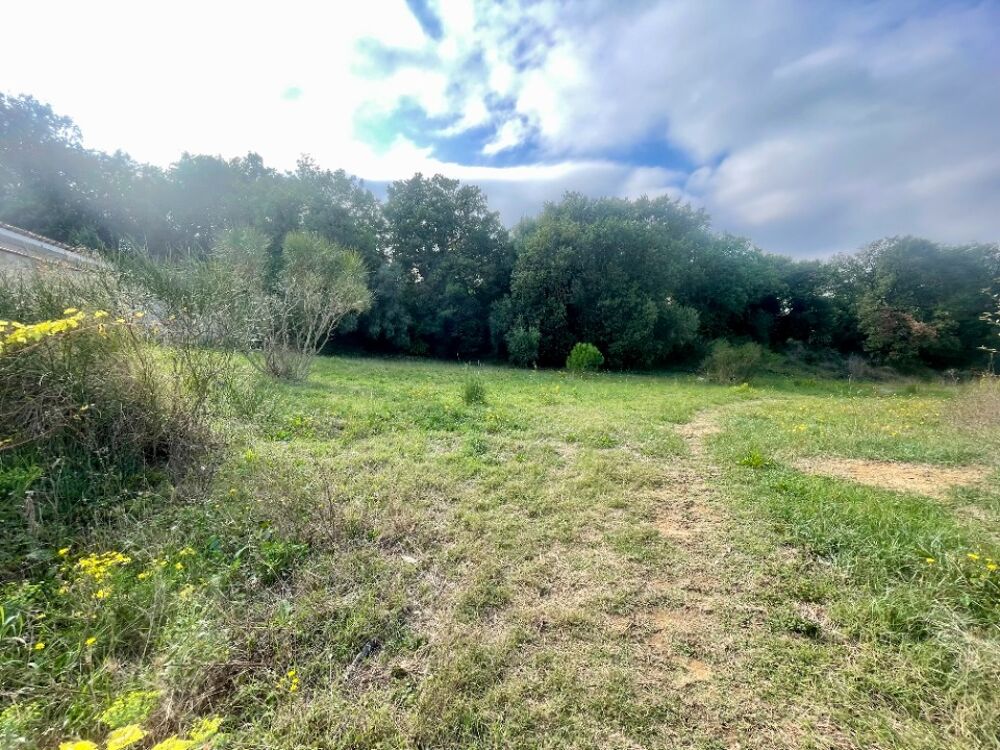 vente Terrain - 970 m² Canet-en-Roussillon (66140)