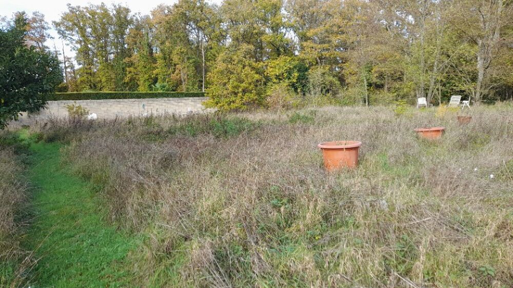 vente Terrain - 951 m² Briis-sous-Forges (91640)
