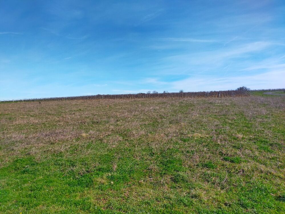 Située dans un environnement privilégié, découvrez cette....